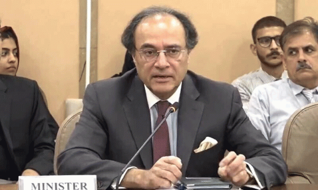 موسمیاتی تبدیلی اور آبادی میں اضافہ ملکی ترقی میں بڑی رکاوٹیں ہیں، وفاقی وزیر خزانہ