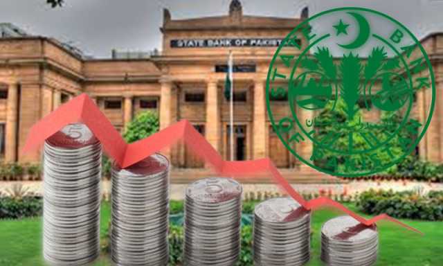 ملکی زرمبادلہ کے ذخائر میں کتنی کمی ہوئی ہے؟