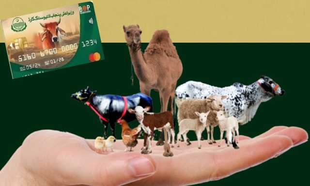 پنجاب اسمبلی نے مویشیوں سے آمدنی پر ٹیکس ختم کرنے کا بل منظور کرلیا