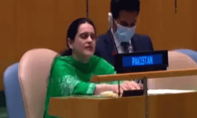 اقوام متحدہ میں پاکستان کی نمائندگی کرنے والی صائمہ سلیم کون ہیں؟