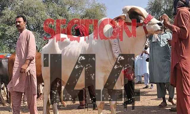 محکمہ داخلہ پنجاب نے عیدالاضحیٰ کی آمد پر دفعہ 144 کے نفاذ کا اعلان کردیا