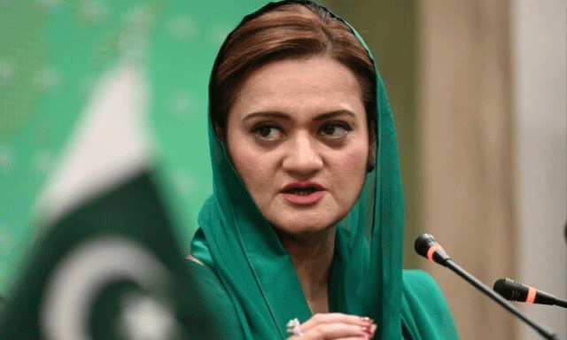 جنگلات کے تحفظ اور شجرکاری کے لیے جدید اقدامات، پنجاب کو سرسبز بنانے کا عزم