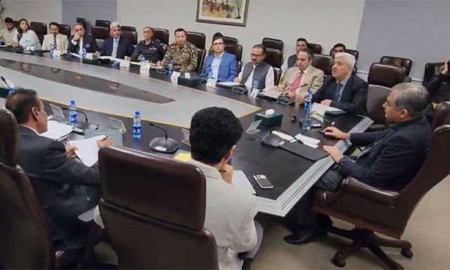 عوامی ریلیف کے لیے ادارہ جاتی ہم آہنگی ضروری ہے، محسن نقوی