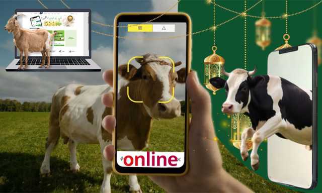 قربانی کے جانوروں کی آن لائن خریداری میں ہونے والے فراڈ سے کیسے بچا جائے؟