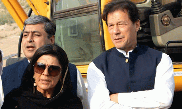 عمران خان نے خود کو پی ٹی آئی کا پیٹرن انچیف کیوں بنایا؟ علیمہ خان نے بتادیا