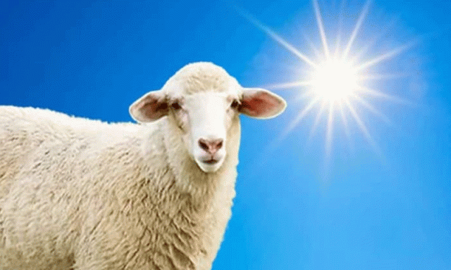 عید کی تعطیلات اور آئندہ ہفتے کے دوران موسم کیسا رہے گا؟