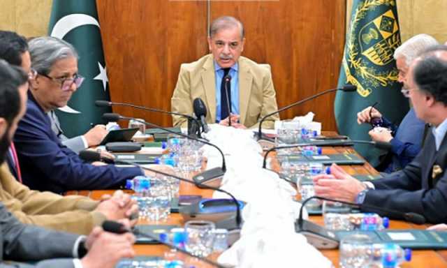 وفاقی کابینہ کا اہم فیصلہ، پیٹرولیم لیوی کا اختیار پیٹرولیم ڈویژن کو منتقل