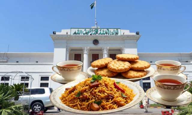 خیبرپختونخوا میں کتنے کروڑ روپے تکے، بریانی اور بسکٹ کی نذر ہوئے؟ حیران کن تفصیلات