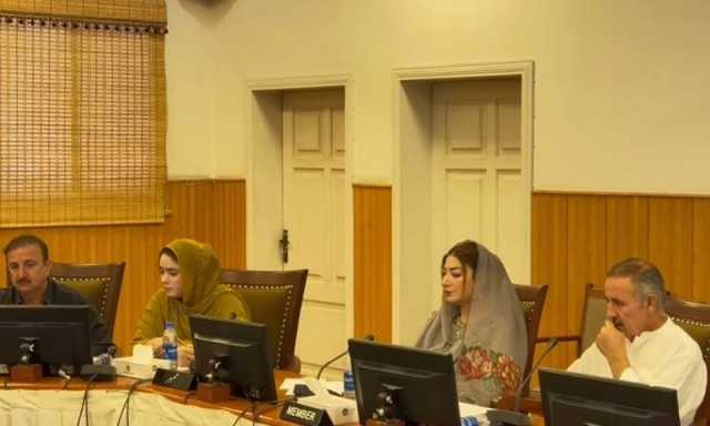 بلوچستان کے زرعی شعبے میں سولرائزیشن اور بجلی چوری کی روک تھام سے متعلق بل پر سفارشات منظور