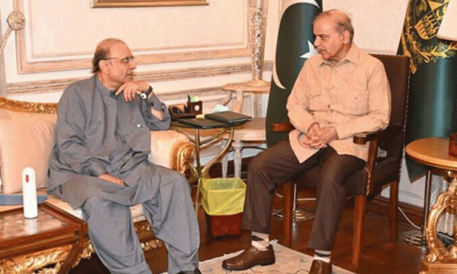 بجٹ میں کم آمدنی والے طبقات کی فلاح کو ترجیح دی جائے: صدر زرداری کی وزیراعظم سے گفتگو