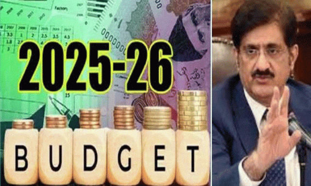 وزیراعلیٰ سندھ نے بجٹ میں سرکاری ملازمین کے لیے کتنے ریلیف کا اعلان کیا؟