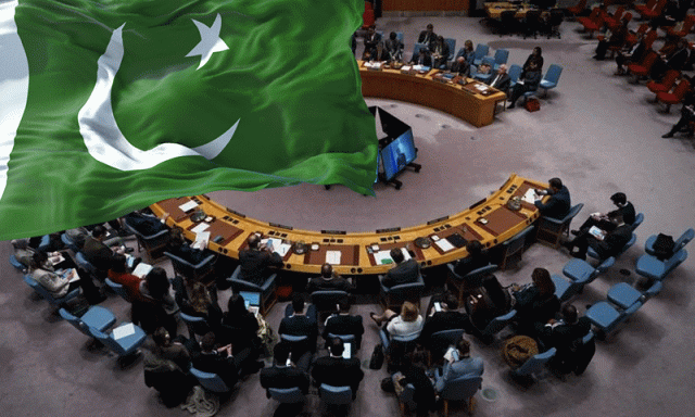’ 2025 سلامتی کونسل میں پاکستان کے نمایاں تر کردار سال‘