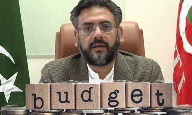 وفاق نے خیبرپختونخوا کو نظر انداز کیا، مزمل اسلم