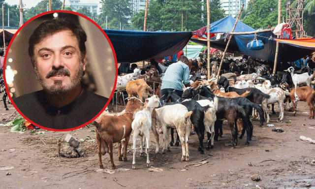 ’اگر تقویٰ ہوتا تو 30 ہزار کا بکرا لاکھ میں نہ بکتا‘، اداکار نعمان اعجاز کی تنقید