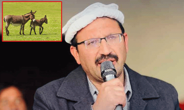 حکومت جواب دے کہ ملک میں گدھیوں کی تعداد کیوں نہیں بڑھ رہی؟ جنید اکبر کا قومی اسمبلی میں سوال