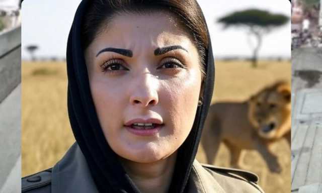 شیر کے حملے میں زخمی افراد کے لیے وزیراعلی پنجاب مریم نواز کی جانب سے امداد کا اعلان