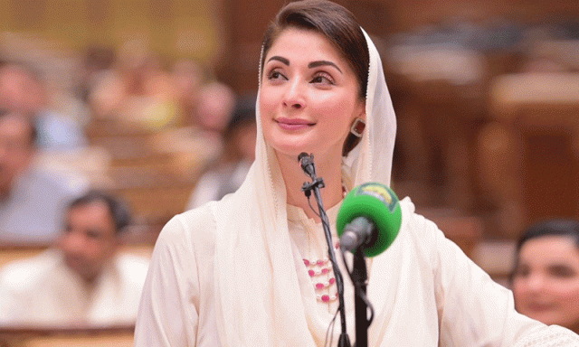 صوبے کا نام ’مریم آباد‘ رکھ لیں، پنجاب کی وزیراعلیٰ سے یہ مطالبہ کیوں کیا جارہا ہے؟