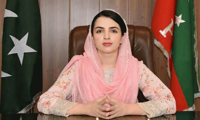 مشعال یوسفزئی کا پی ٹی آئی میں سیاسی سفر، صرف 2 سالوں میں صوبائی کابینہ سے سینٹ کیسے پہنچیں؟