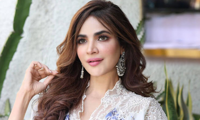 حمیرا اصغر نے واٹس ایپ ہیک ہونے کی شکایت درج کرائی، ڈی آئی جی ساؤتھ کا انکشاف
