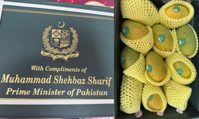 وزیراعظم شہباز شریف کا بیرون ملک صحافیوں کو آموں کا تحفہ، ’مینگو ڈپلومیسی اِن ایکشن ہے‘