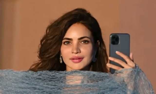 واٹس ایپ کی ڈیلیٹڈ اکاؤنٹس بارے پالیسی اور حمیرا اصغر کے اکاؤنٹ پر مبینہ سرگرمیاں