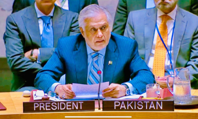 عالمی برادری فلسطین کے دو ریاستی حل کے لیے کوششیں کرے، سلامتی کونسل میں اسحاق ڈار کا صدارتی خطبہ