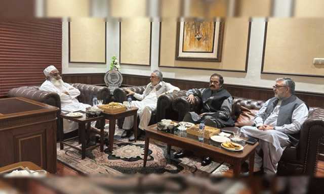 مسلم لیگ ن کے رہنماؤں کی مولانا فضل الرحمٰن سے ملاقات کا مقصد کیا ہے؟