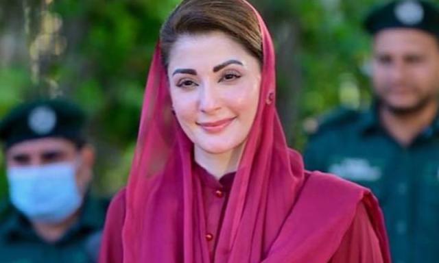 ’آئی جی صاحب انتظار کرتے رہے مگر احتجاج کے لیے کوئی نہ آیا‘، مریم نواز کا پی ٹی آئی پر طنزیہ وار