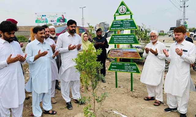 خیبرپختونخوا: ’جشنِ آزادی و معرکۂ حق‘ شجرکاری مہم کا آغاز، 450 پودے لگائے گئے