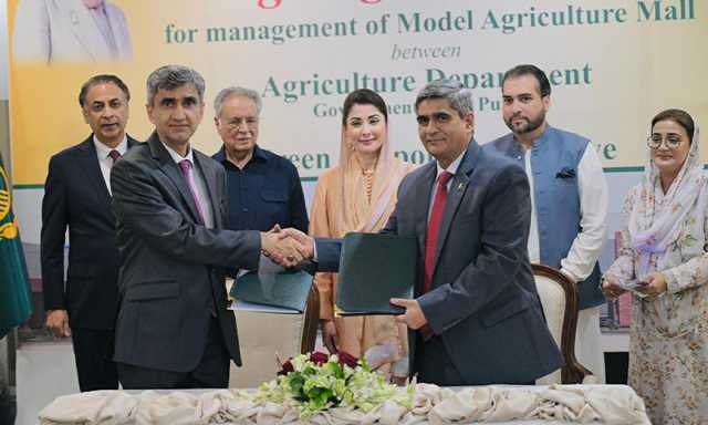 کاشتکاروں کے لیے خوشخبری: ماڈل ایگریکلچر مالز کا قیام، کسان کو مڈل مین کا سہارا نہیں لینا پڑے گا
