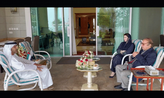 نواز شریف اور مریم نواز سے یو اے ای کے سفیر کی ملاقات، تعاون کو نئی بلندیوں تک لے جانے پر اتفاق