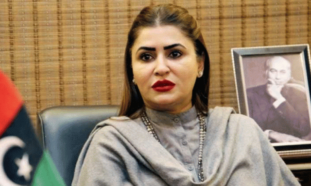 بجٹ میں عوام کو کوئی ریلیف نہیں دیا گیا ہے، ترجمان پیپلز پارٹی