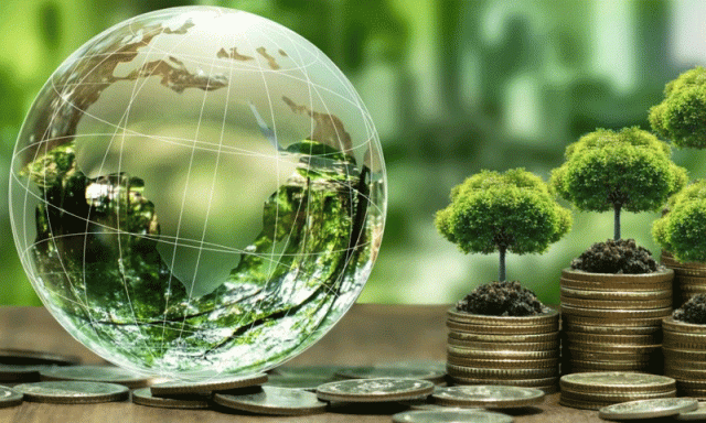 ماحولیاتی تحفظ کو اولین ترجیح، پنجاب کے ترقیاتی بجٹ کا 64 فیصد مختص