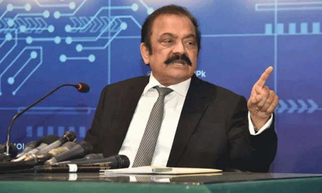 تحریک کا عروج یا جلسے کی رسم؟ رانا ثنا نے پی ٹی آئی کو آڑے ہاتھوں لیا