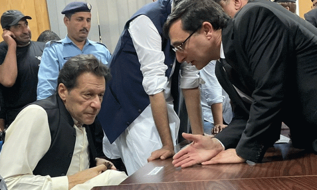 بیرسٹر گوہر کی عمران خان سے ملاقات، کیا باتیں ہوئیں؟