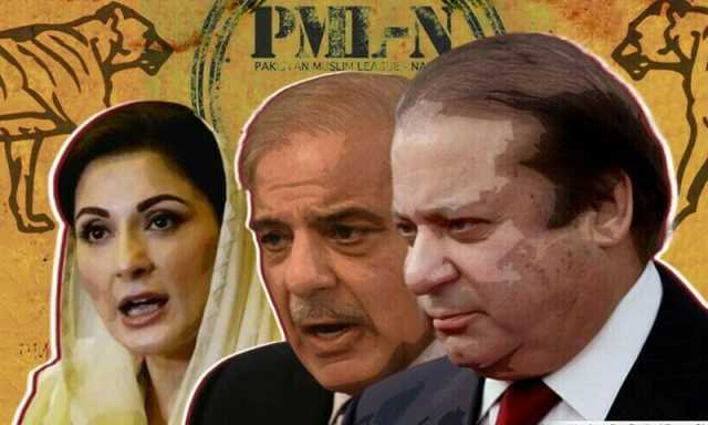 ن لیگ کی ضمنی انتخابات میں کامیابی، مریم نواز کی کارکردگی وجہ بنی؟