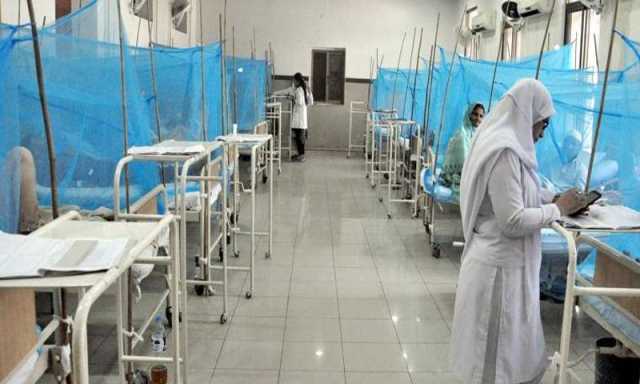 راولپنڈی اور مری میں ڈینگی کے مزید کیسز رپورٹ، تعداد 99 ہوگئی