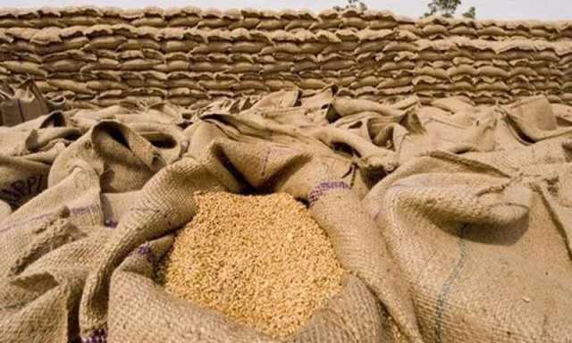 سیلاب کے بعد گندم 5 ہزار روپے من ہونے کا خدشہ، کسان اتحاد کا انتباہ