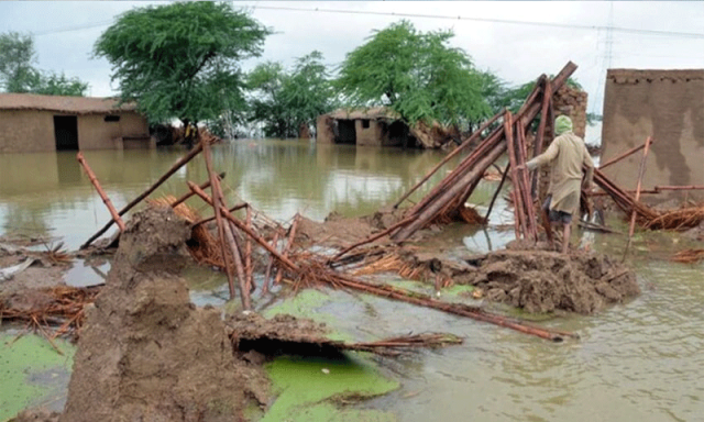 خیبر پختونخوا میں بارشوں اور سیلاب سے 314 ہلاکتیں، بونیر سب سے زیادہ متاثر،پی ڈی ایم اے رپورٹ