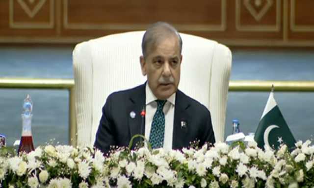 پاکستان کو ایک سال میں اندھیروں سے اجالوں میں لے آئے، شہباز شریف
