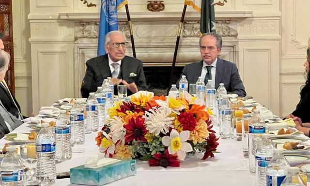 پاکستان، فلسطین جنگ بندی معاہدے کے تمام مراحل پر عملدرآمد کا مطالبہ کرتا ہے، طارق فاطمی