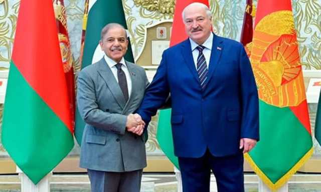 پاکستان کے مختلف شعبوں میں سرمایہ کاری کے بے پناہ مواقع موجود ہیں، وزیراعظم شہباز شریف