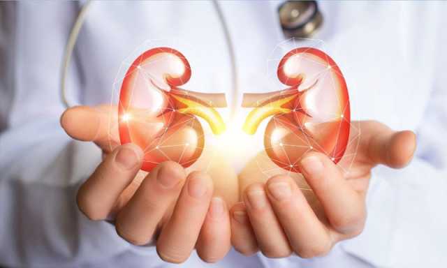 گردوں کی کارکردگی بحال رکھنے لیے کن عادات سے گریز ضروری ہے؟