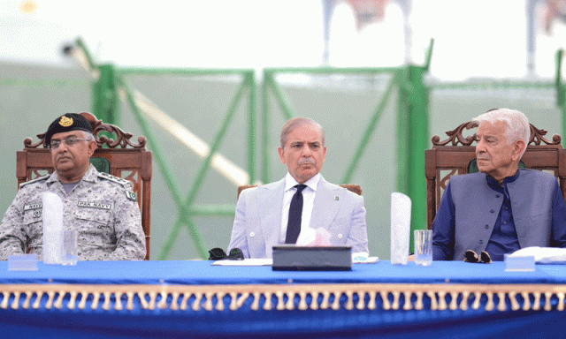 بھارت کو قیامت تک سبق یاد رہےگا، دوبارہ جارحیت کی تو منہ توڑ جواب دیں گے، وزیراعظم شہباز شریف