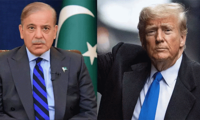 جنوبی ایشیا میں قیام امن کے لیے ڈونلڈ ٹرمپ کی کاوشیں لائق تحسین ہیں، وزیراعظم شہباز شریف