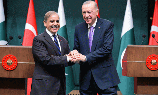 شہباز شریف کی رجب طیب اردوان سے ملاقات، پاک ترک تعلقات کو مزید مستحکم کرنے پر اتفاق