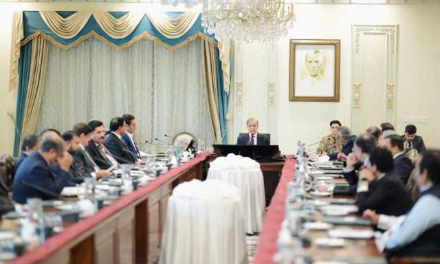 2 ماہ میں  بجلی کی تقسیم کار کمپنیاں صوبوں کے سپرد کرنے کا فیصلہ
