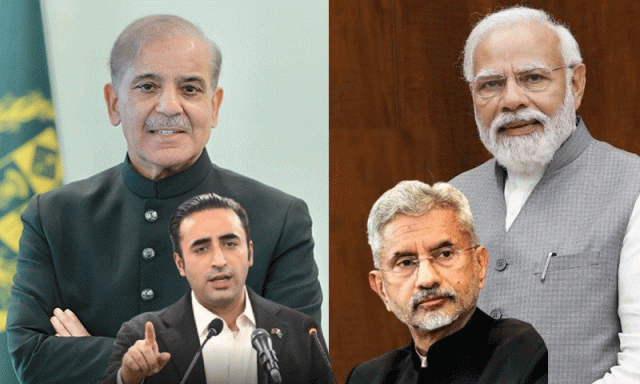 پاکستان اور بھارت کے پارلیمانی وفود کی سرگرمیاں کیا ہیں؟