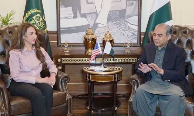وفاقی وزیر داخلہ سے امریکی سفیر کی ملاقات، دوطرفہ تعاون اور جنگ بندی پر تبادلہ خیال