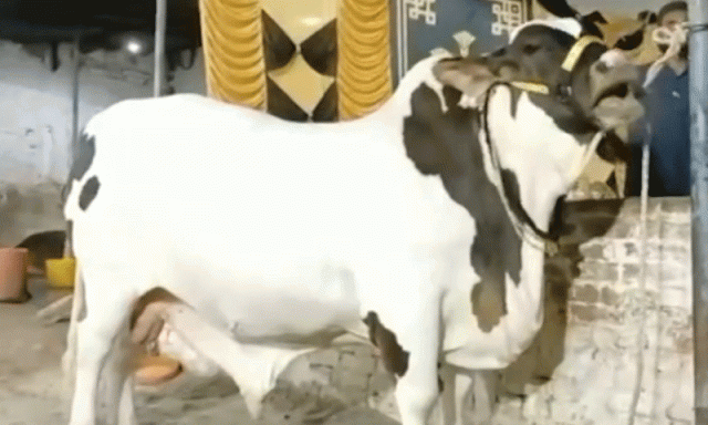 ے ایف 17 تھنڈر پاکستان کی سڑکوں پر، قیمت صرف 50 لاکھ